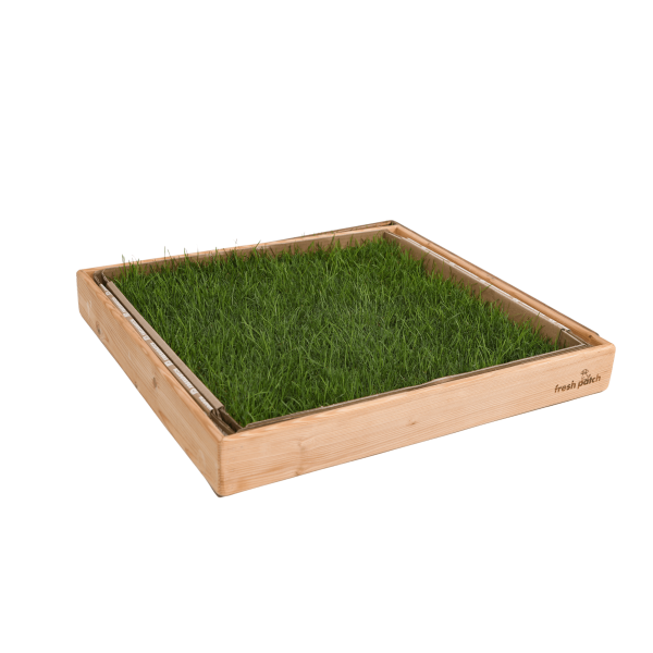 LARGE Protective Sleeve - (PINE) Online Hot Sale