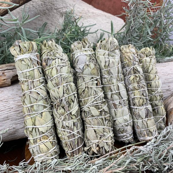 6-Inch White Sage Bundles For Cheap - Image 3