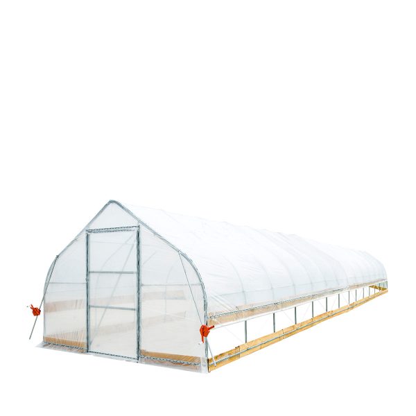 TMG Industrial 12’ x 60’ Tunnel Greenhouse Grow Tent w 6 Mil Clear EVA Plastic Film, Cold Frame, Hand Crank Roll-Up Sides, Peak Ceiling Roof, TMG-GH1260 Online