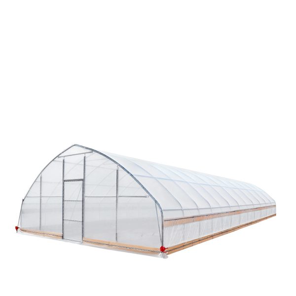 TMG Industrial 25’ x 50’ Tunnel Greenhouse Grow Tent w 6 Mil Clear EVA Plastic Film, Cold Frame, Hand Crank Roll-Up Sides, Peak Ceiling Roof, TMG-GH2550 For Discount