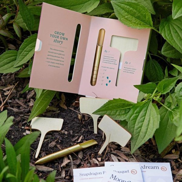 Culinary Herbs Seed Library Cheap - Image 4