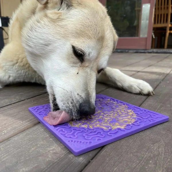 Dog Enrichment Licking Mat - Purple Bones Supply - Image 2