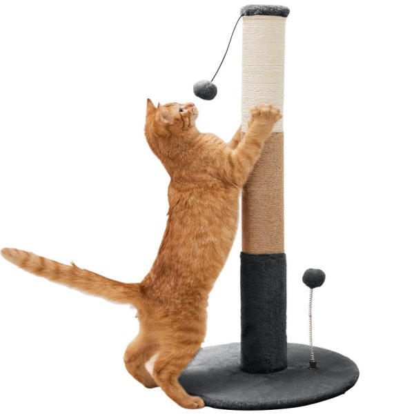 Cat Post For Cheap - Image 3