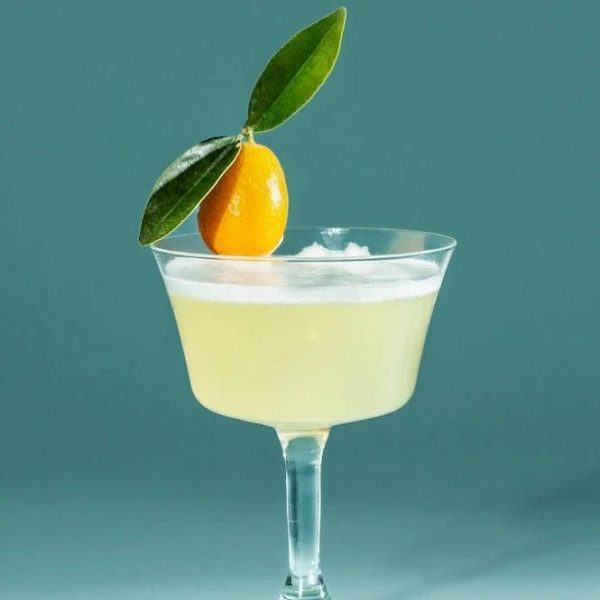 Do Your Vodka Kit Supply - Image 4