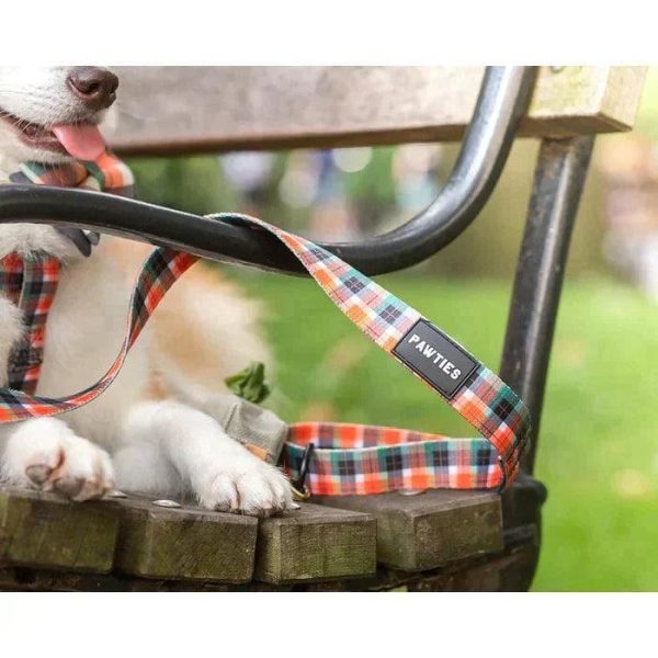 Dog Leash- Ranger Online Hot Sale - Image 2