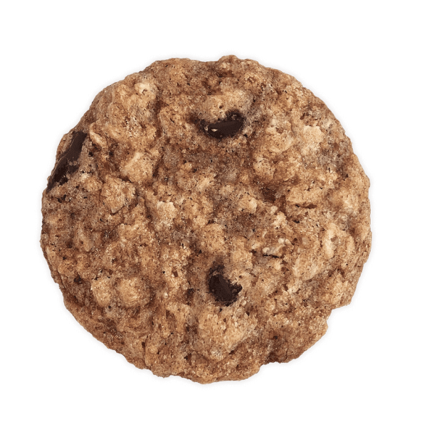 Holiday Oatmeal Chocolate Chip Box Supply - Image 3