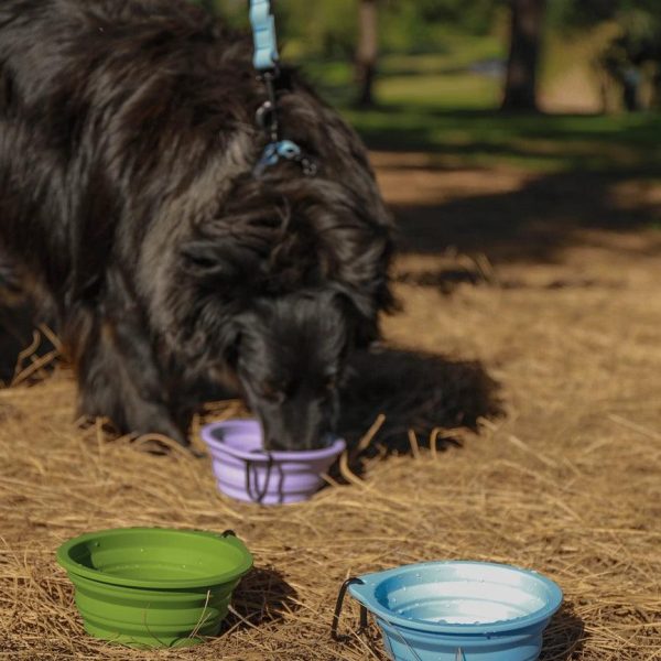 Silicone Collapsible Dog Bowl - Purple For Sale - Image 5