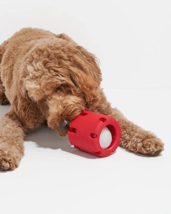 Strawberry Tennis Tumble Dog Toy Discount - Image 4