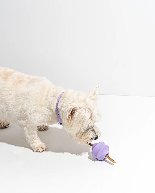 Lilac Twist Toss Toy Sale - Image 4