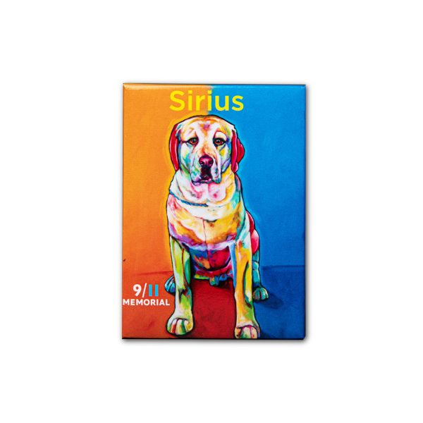 Sirius Magnet For Cheap