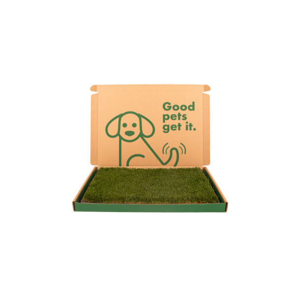 Standard Combo Pack (Grass and Tray) For Sale - Image 2