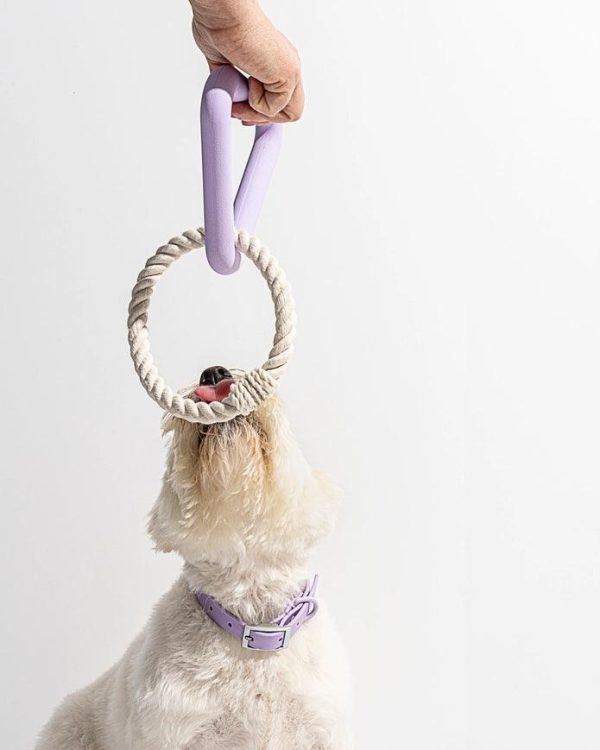 Lilac Triangle Tug Toy Online Sale - Image 3