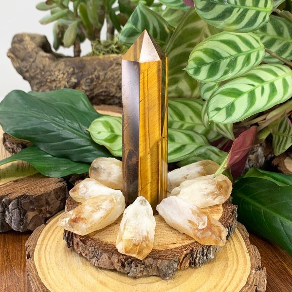 8-Piece Tiger s Eye + Citrine Set Online now