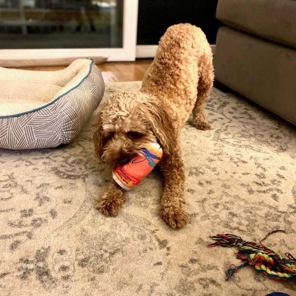 LickCroix Pamplemutt Barkling Water Dog Toy For Cheap - Image 3