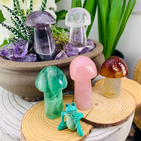 5-Piece Gemstone Mushrooms Kit on Sale - Image 2