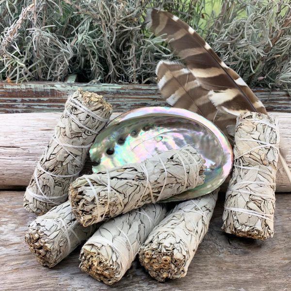 Smudge Kit: White Sage (4-Inch) + Abalone Shell For Discount - Image 3