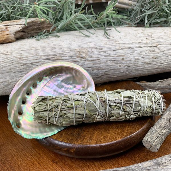 Smudge Kit: White Sage (6-Inch) + Abalone Shell Supply - Image 5