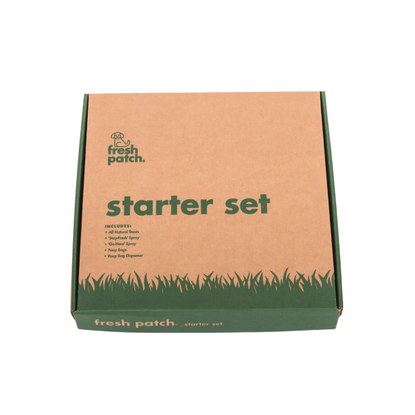 Starter Set Online - Image 2