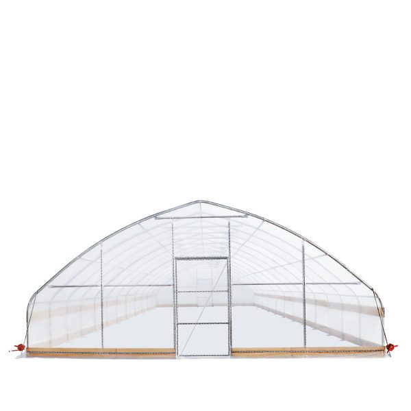 TMG Industrial 25’ x 50’ Tunnel Greenhouse Grow Tent w 6 Mil Clear EVA Plastic Film, Cold Frame, Hand Crank Roll-Up Sides, Peak Ceiling Roof, TMG-GH2550 For Discount - Image 2