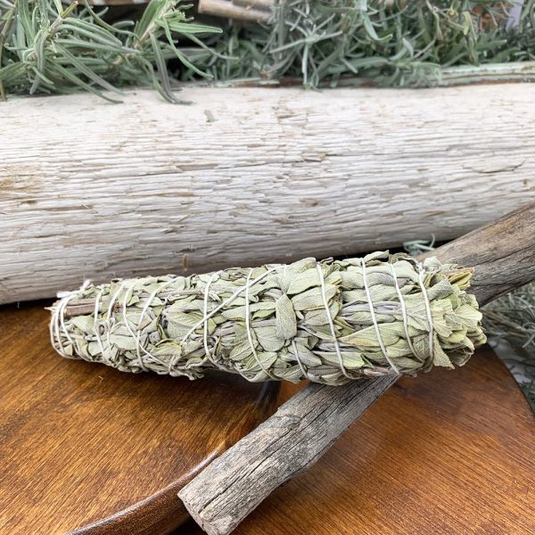 6-Inch White Sage Bundles For Cheap - Image 4