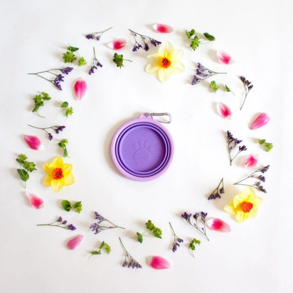 Silicone Collapsible Dog Bowl - Purple For Sale - Image 3