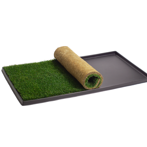 XL Combo Pack (Grass and Tray) Fashion - Image 3