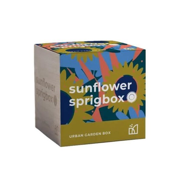 Sunflower Grow Kit For Cheap